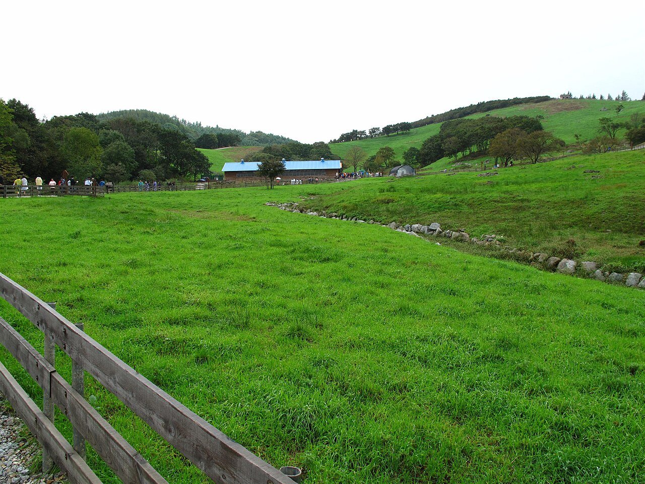 Daegwallyeong Sheep Ranch hills near Odaesan