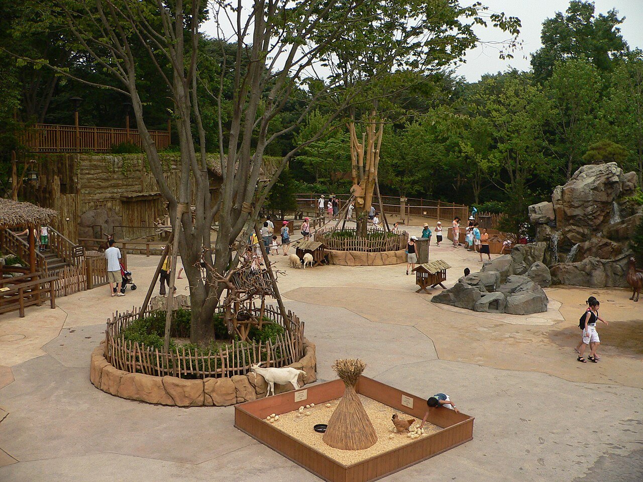 Visitors in the animal area at Everland