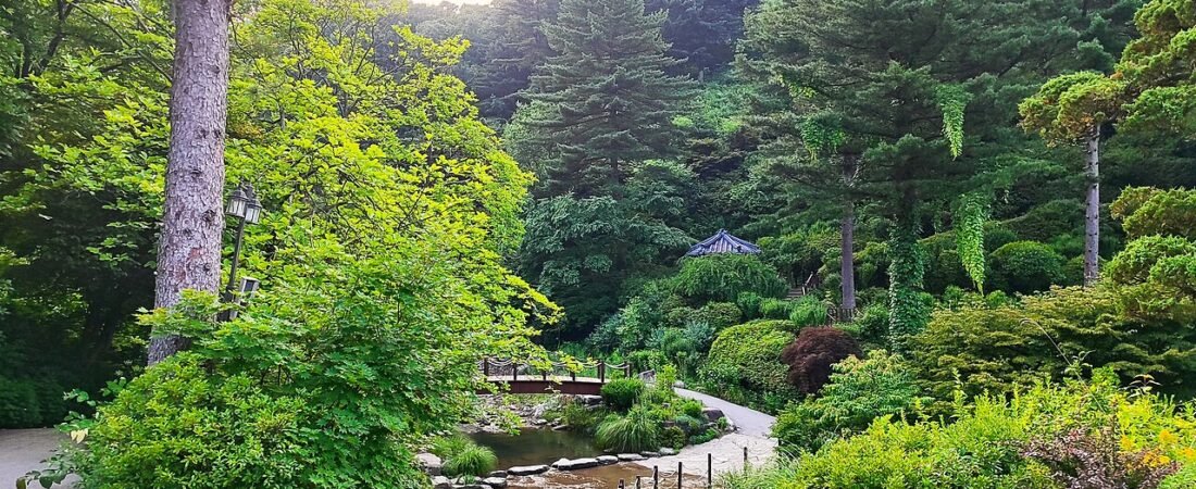 Gapyeong Trip: Garden of Morning Calm