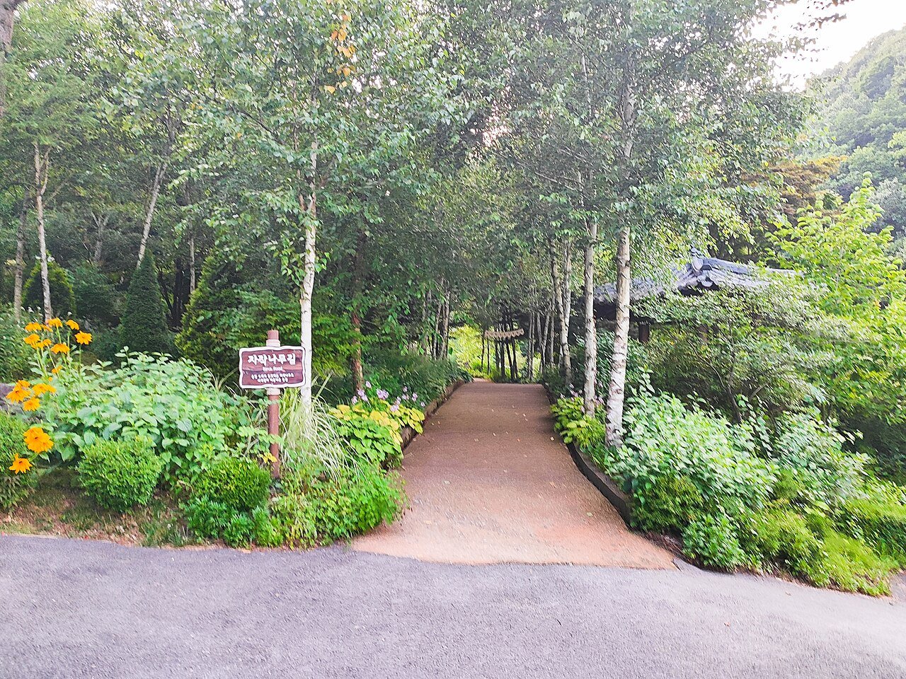 Flower-lined path at the Garden of Morning Calm