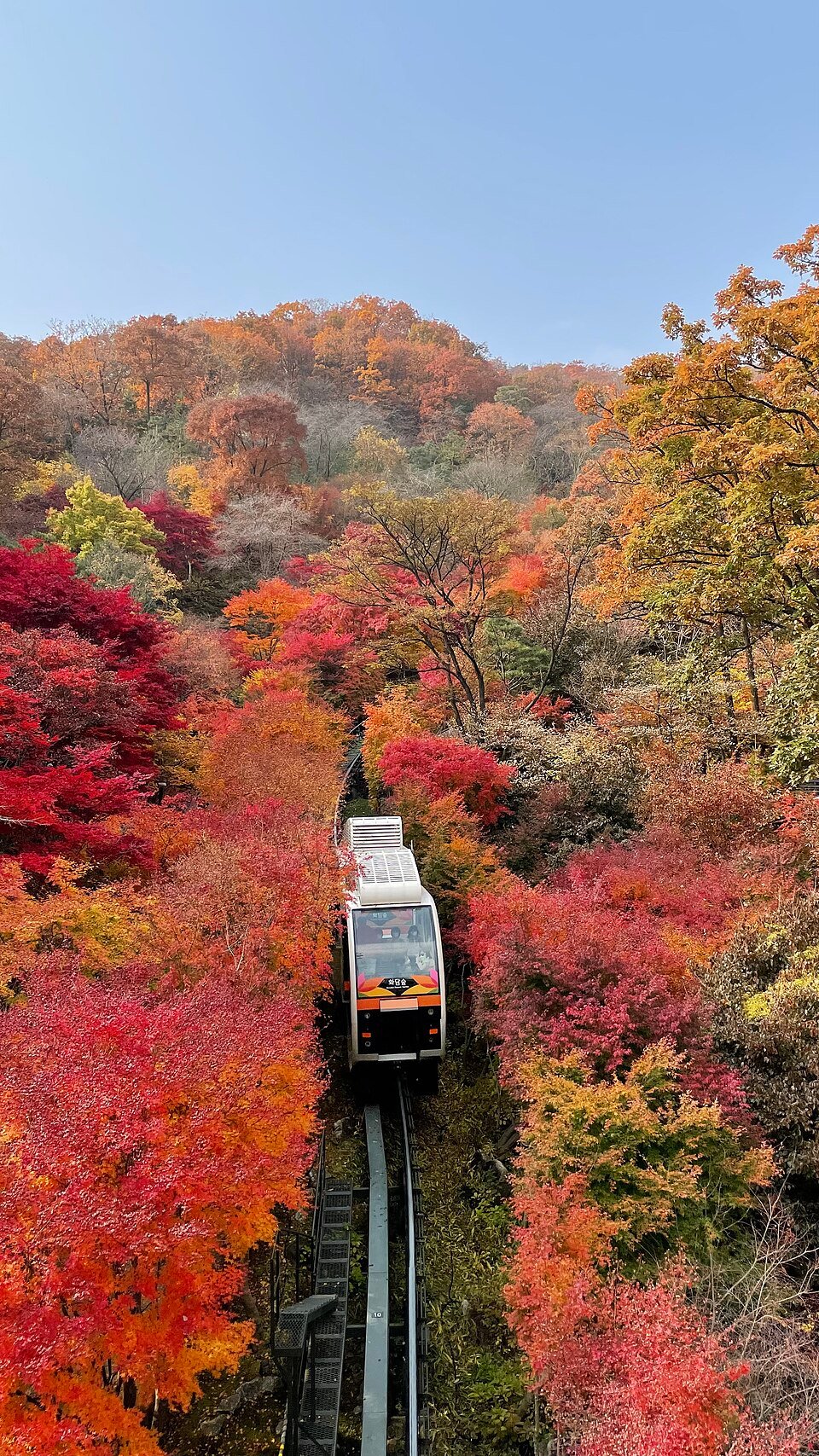 Hwadam Forest in Autumn: Best Trip from Seoul 2026