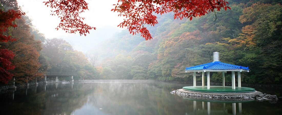 Naejangsan Autumn Foliage 2026: Best Day Trip from Seoul