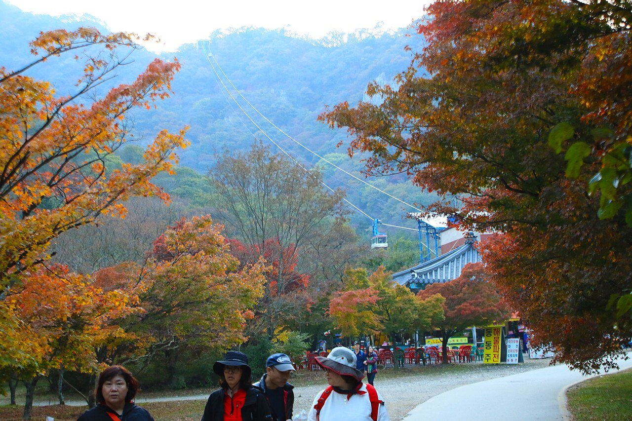 Naejangsan autumn foliage seen from the cable car above colorful maples with hikers walking on the park road