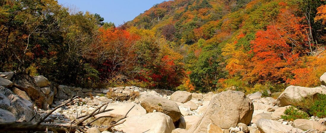 Best Autumn Trip from Seoul: Seoraksan Foliage Guide 2026