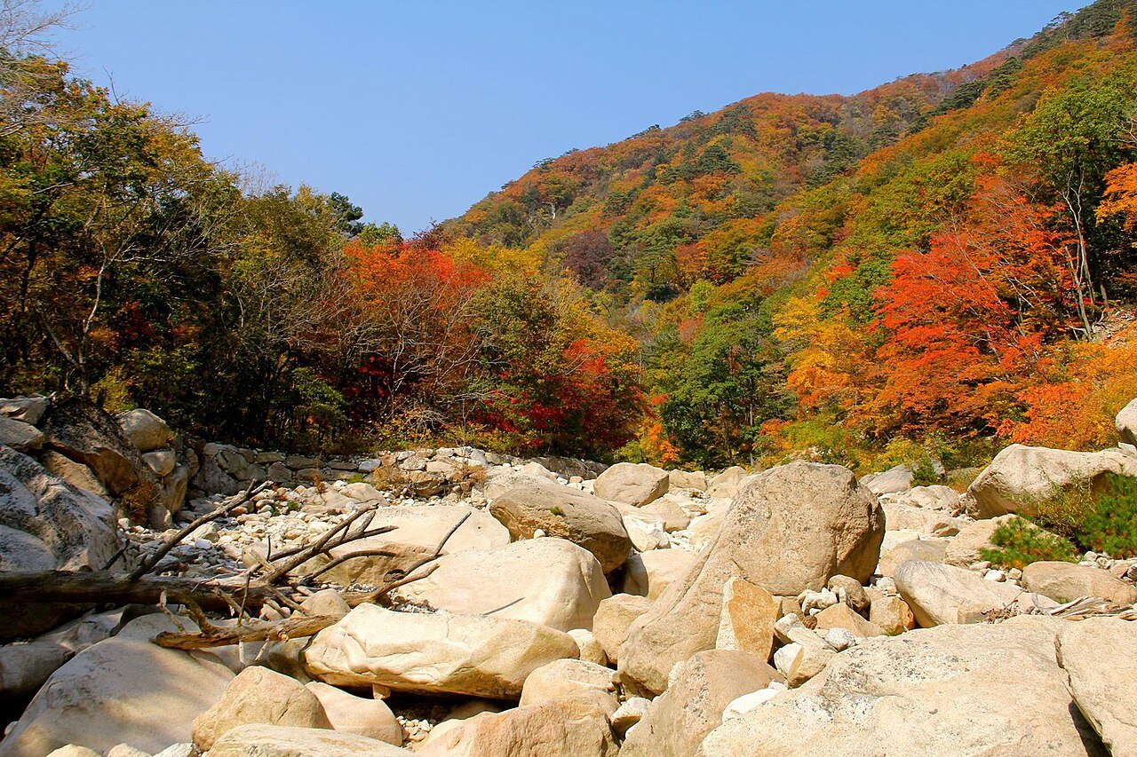 Best Autumn Trip from Seoul: Seoraksan Foliage Guide 2026